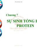 Bài giảng Sinh học đại cương - Chương 7: Sự sinh tổng hợp protein