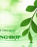 Bài giảng Sinh học đại cương - Chương 6: Quang hợp