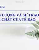 Bài giảng Sinh học đại cương - Chương 4: Năng lượng và sự trao đổi chất của tế bào