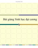 Bài giảng Sinh học đại cương: Chương 2 - Dương Thu Hương