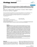 Báo cáo khoa học: Evolutionary and structural analyses of alpha-papillomavirus capsid proteins yields novel insights into L2 structure and interaction with L1