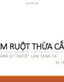 Bài giảng Viêm ruột thừa cấp (Bài giảng lý thuyết lâm sàng Y6) - BS. Lê Hùng