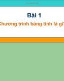 Bài giảng Tin học 7 bài 1: Chương trình bảng tính là gì