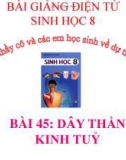 Bài giảng Sinh học lớp 8 bài 45: Dây thần kinh tủy