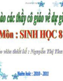 Bài giảng Sinh học lớp 8 bài 13: Máu và môi trường trong cơ thể