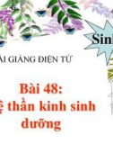 Bài giảng Sinh học lớp 8 bài 48: Hệ thần kinh sinh dưỡng