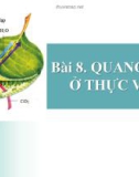 Bài giảng Sinh học lớp 11 bài 8: Quang hợp ở thực vật