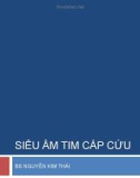 Siêu âm tim cấp cứu - Bs Nguyễn Kim Thái