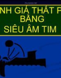 Bài giảng Đánh giá thất phải bằng siêu âm tim