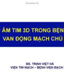 Bài giảng Siêu âm tim 3D trong bệnh lý van động mạch chủ - BS. Trịnh Việt Hà