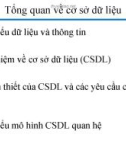 Bài giảng Tin học đại cương: Tổng quan về cơ sở dữ liệu - ThS. Ngô Cao Định