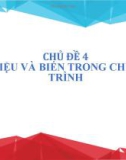 Bài giảng môn Tin học lớp 8 - Chủ đề 4: Dữ liệu và biến trong chương trình