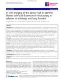 Báo cáo y học: In vivo imaging of the airway wall in asthma: fibered confocal fluorescence microscopy in relation to histology and lung function