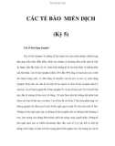 CÁC TẾ BÀO MIỄN DỊCH (Kỳ 5)