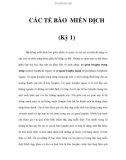 CÁC TẾ BÀO MIỄN DỊCH (Kỳ 1)