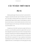 CÁC TẾ BÀO MIỄN DỊCH (Kỳ 6)