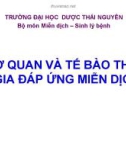 Bài giảng Miễn dịch - Bài: Cơ quan và tế bào tham gia đáp ứng miễn dịch