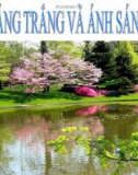 Bài giảng Vật lý 9 bài 52: Ánh sáng trắng và ánh sáng màu