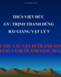 Bài giảng Vật lý 9 bài 55: Màu của vật dưới ánh sáng trắng và dưới ánh sáng màu