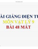 Bài giảng Vật lý 9 - Bài 48: Cấu tạo Mắt