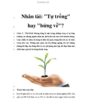 Nhân tài: 'Tự trồng' hay 'bứng về'?