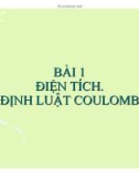 Bài giảng Vật lý 11 - Bài 1: Điện tích. Định luật Coulomb