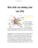 CẢM XÚC - MÓN ĂN TINH THẦN CHO TRÍ NÃO