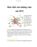 Bản chất của những cảm xúc