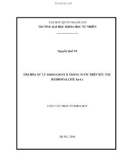 Luận văn Thạc sĩ Khoa học: Oxi hóa xử lý Rhodamine B trong nước trên xúc tác hydrotalcite Zn-Cr