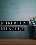 Bài giảng Quản trị rủi ro doanh nghiệp: Chương 1