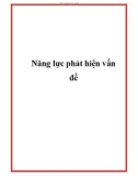 Năng lực phát hiện vấn đề