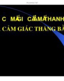 Bài giảng thần kinh thính giác part 1