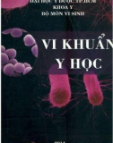 Nghiên cứu vi khuẩn y học: Phần 1