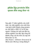 phân lập protein liên quan đến ung thư vú