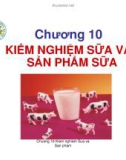 Kiểm nghiệm thú sản - Chương 10: Kiểm nghiệm sữa và sản phẩm sữa