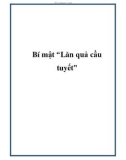 Bí mật 'Lăn quả cầu tuyết'.