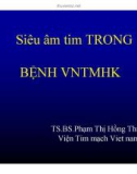 Bài giảng Siêu âm tim trong bệnh VNTMHK - TS.BS Phạm Thị Hồng Thi