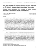 Nút động mạch tuyến tiền liệt điều trị tăng sinh lành tính tuyến tiền liệt: Kết quả điều trị sau 6 tháng và 12 tháng