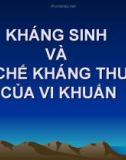 Bài giảng Kháng sinh và cơ chế kháng thuốc của vi khuẩn