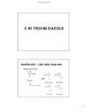 Bài giảng Kháng sinh 5 - nitroimidazole