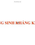 Bài giảng Kháng sinh, kháng khuẩn