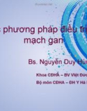 Bài giảng Các phương pháp điều trị nút mạch gan - BS. Nguyễn Duy Hùng