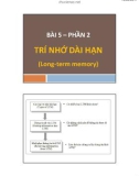 Bài giảng Tâm lý học nhận thức: Chương 5.2 - ThS. Nhan Thị Lạc An