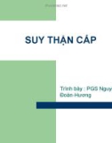 Bài giảng Suy thận cấp - PGS. Nguyễn Thị Đoàn Hương