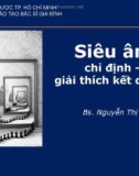 Bài giảng Siêu âm: Chỉ định – Giải thích kết quả - BS. Nguyễn Thị Bích Ngọc (ĐH Y dược TP.HCM)