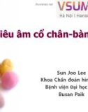 Bài giảng Siêu âm cổ chân-bàn chân – Bệnh viện Đại học Inje Busan Paik