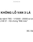 Bài giảng Không lỗ van 3 lá