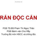 Bài giảng Rắn độc cắn - PGS.TS.BS Phạm Thị Ngọc Thảo