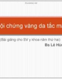 Bài giảng Hội chứng vàng da tắc mật - BS. Lê Hùng