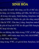 CT Viêm tuỵ cấp (Phần 2)